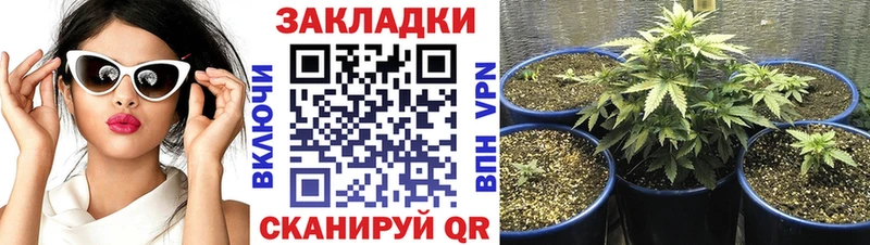ГАШИШ Струнино