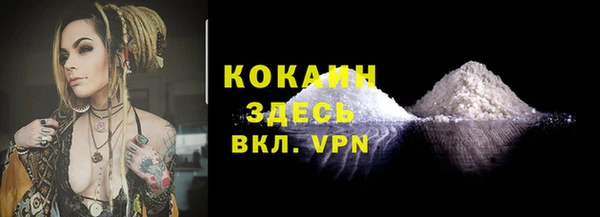 сатива Инсар